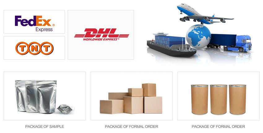 Packing & Shipping