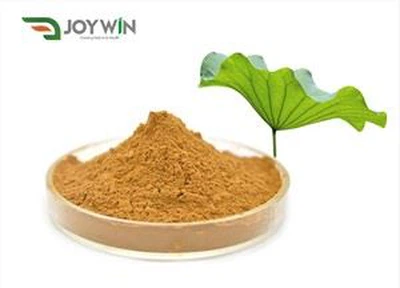 Екстракт от лист от лотос на прах Нуциферин